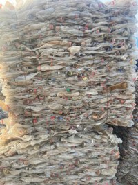 Export-Standard Baled PET Bottles